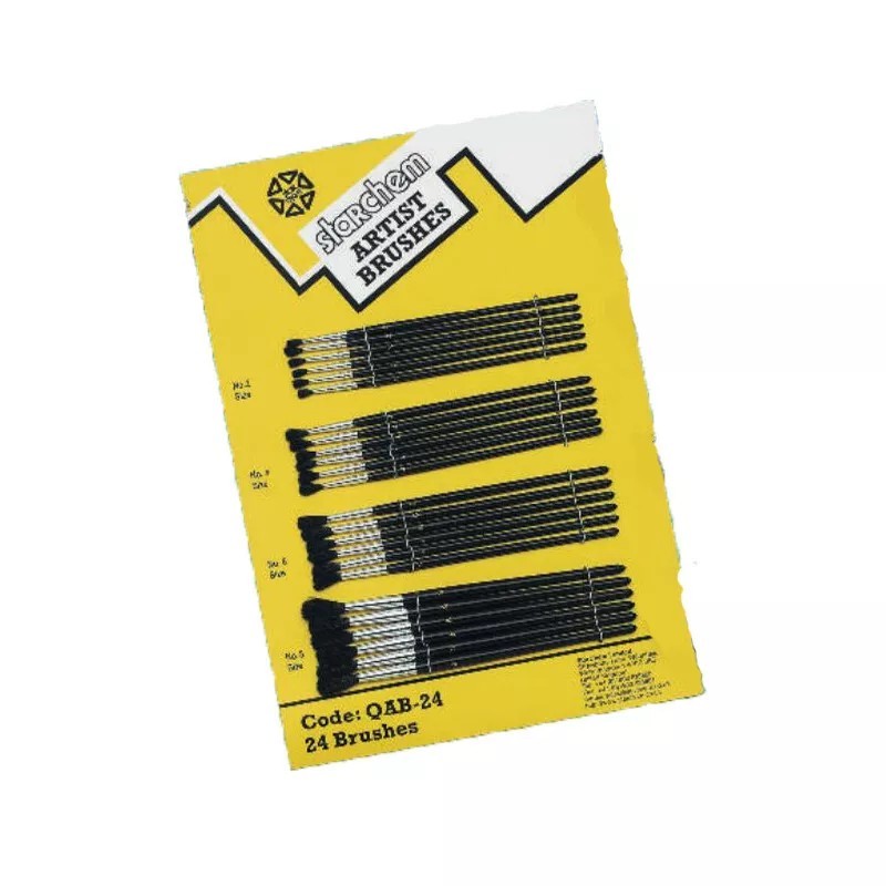 Lot de 24 pinceaux de retouche